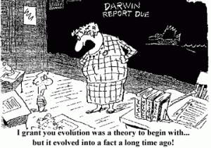Evolution and Creation Cartoon